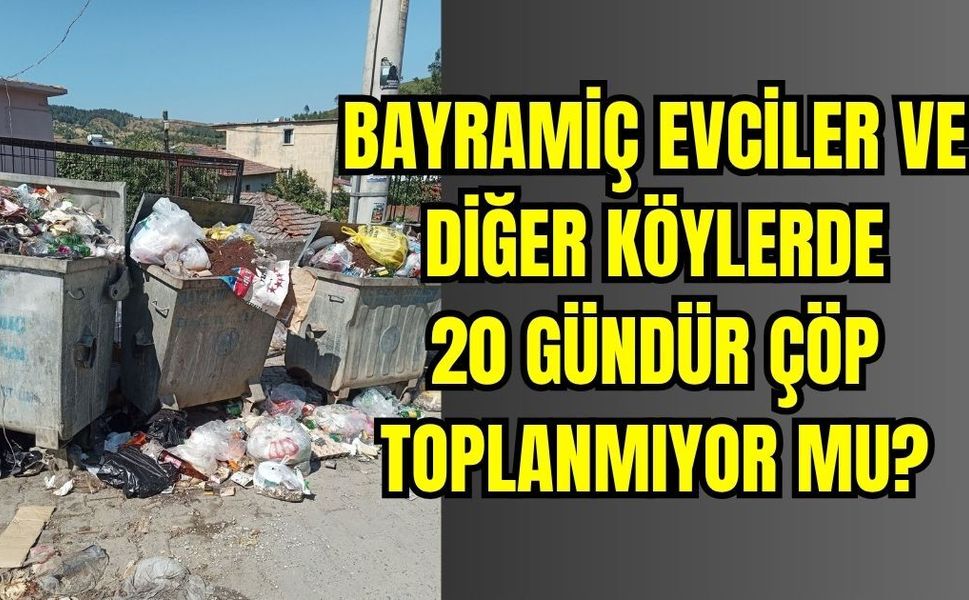 Bayramiç Evciler Köyü'nde çöp krizi vatandaşı isyan ettirdi