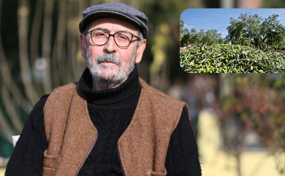 Zeytinin Geleceği İklim Krizine Bağlı: Prof. Dr. Murat Türkeş Uyardı