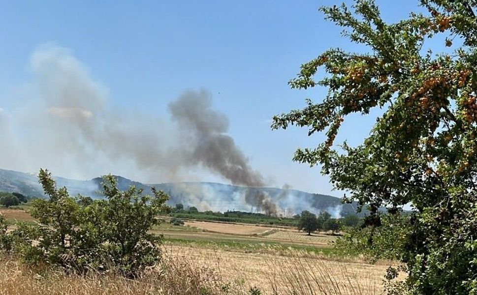 Çanakkale Orman Bölge Müdürlüğü'nden uyarı!