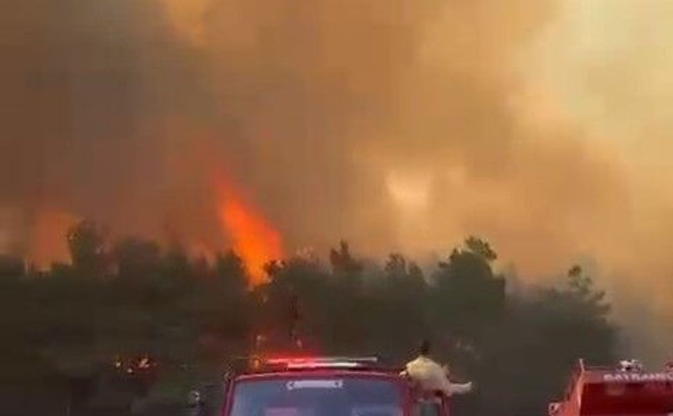 Çanakkale dahil 16 ildeki orman yangınlarında 29 şüpheli tespit edildi