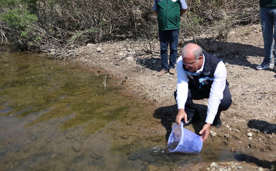 Atikhisar Barajı’nda balıklandırma seferberliği: 348 bin sazan yavrusu suya bırakıldı