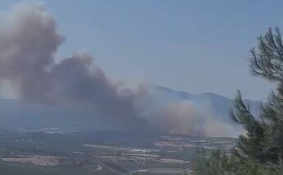 Bayramiç'te orman yangını çıktı