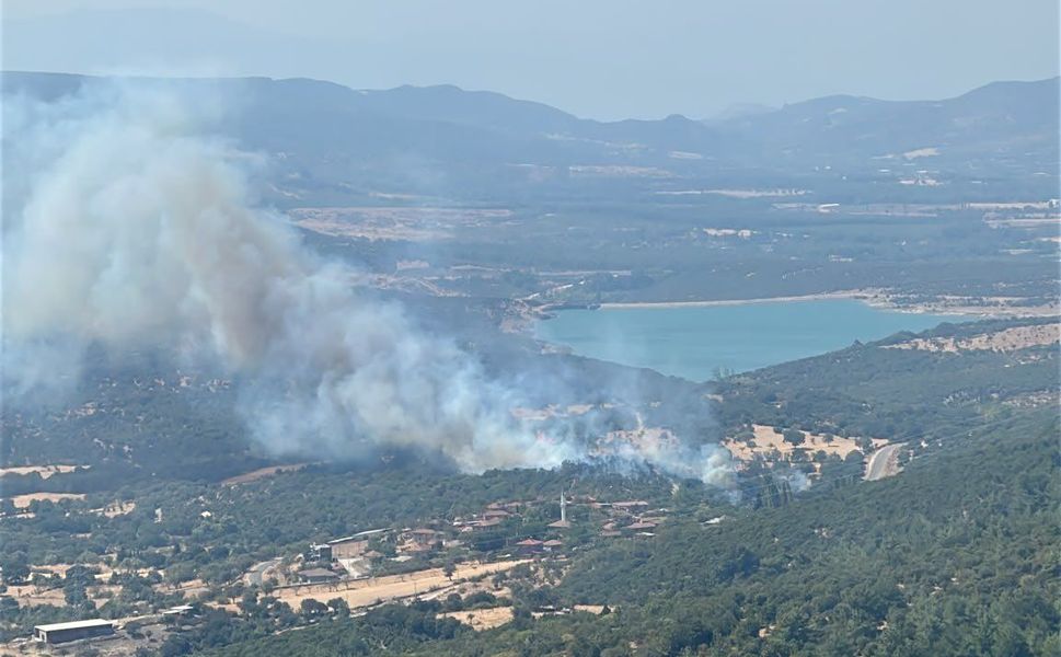 Ayvacık’ta yangın ormana sıçramadan kontrol altına alındı