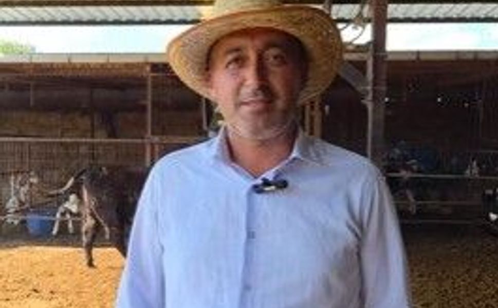 Çanakkale'de hayvancılığa devlet desteği: 15 gebe Angus düveyle işletmesini büyüttü