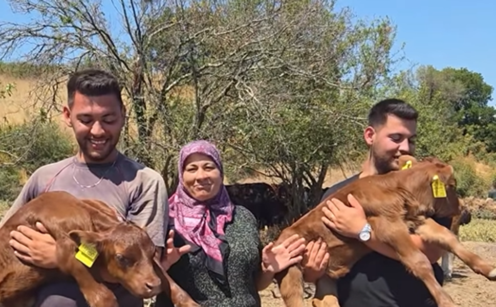 Nagihan Teyze'nin “Kızları” Bereket Getirdi