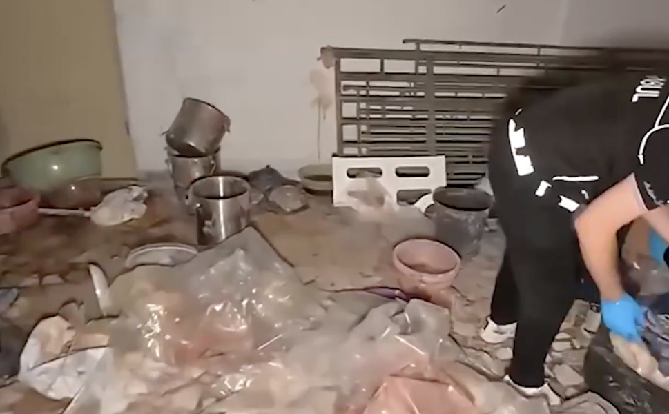 71 ilde uyuşturucu operasyonu: 832 kilogram uyuşturucu ve 425 bin hap ele geçirildi
