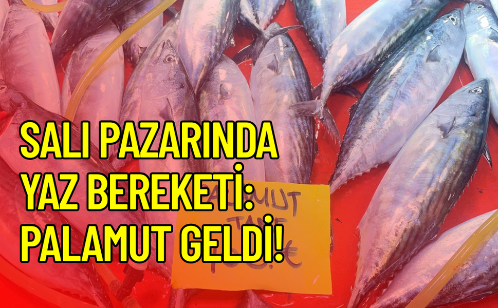 Çanakkale Salı Pazarı’nda fiyatlar belli oldu: Tezgâhlarda yaz bereketi
