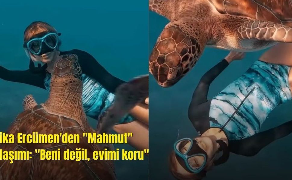 Şahika Ercümen'den "Mahmut" paylaşımı: "Beni değil, evimi koru"