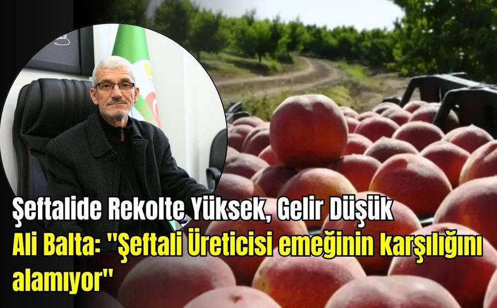 Dalında Bereket, Cebinde Zarar: Şeftali Üreticisi Alarm Veriyor