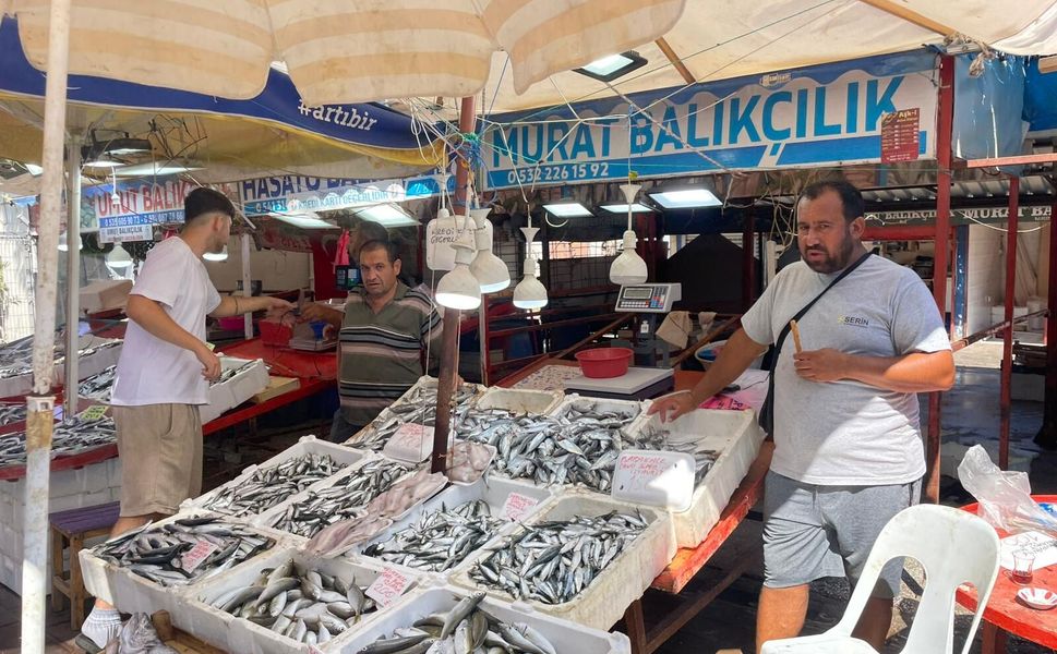 Cuma Pazarında Bu Hafta Balık Fiyatları