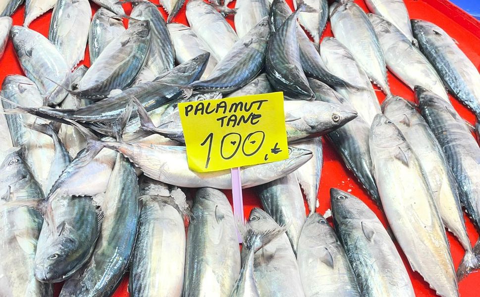 Cuma Pazarı’nda Balık Fiyatları Düştü: Denizden Gelen Bereket!
