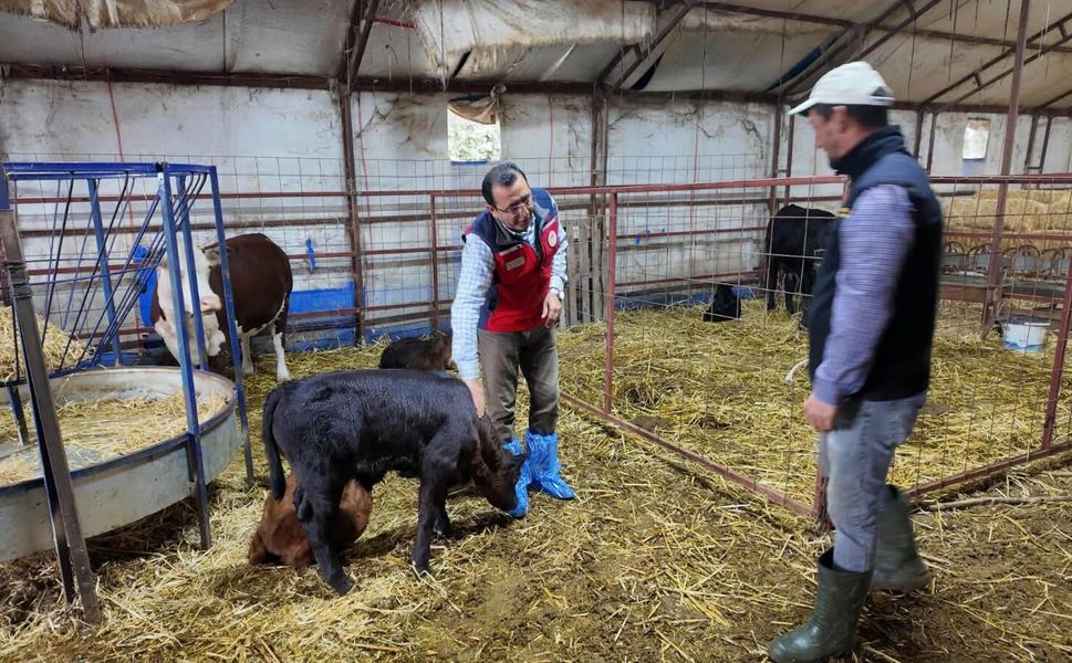 Özbek Köyü’nde hayvancılık desteği meyvesini vermeye başladı