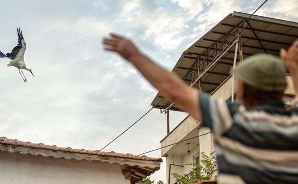Yaren leyleğin vedası yürek burktu!