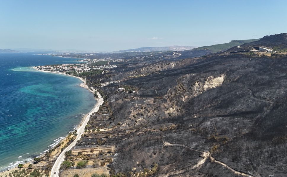 Çanakkale'de yangında küle dönen alan yeniden yeşilleniyor