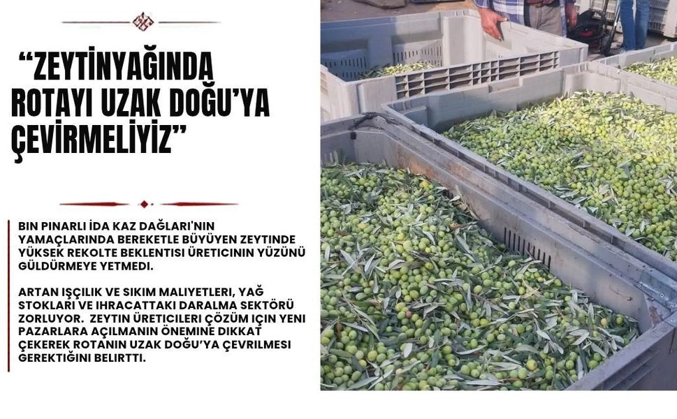 Çanakkale'de Zeytinyağının yeni rotası Uzak Doğu mu olacak?