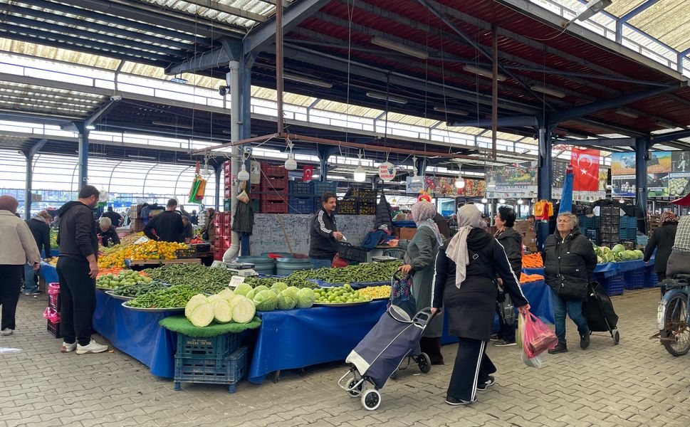 Cuma Pazarı’nda palamut bolluğu, turşuluk telaşı