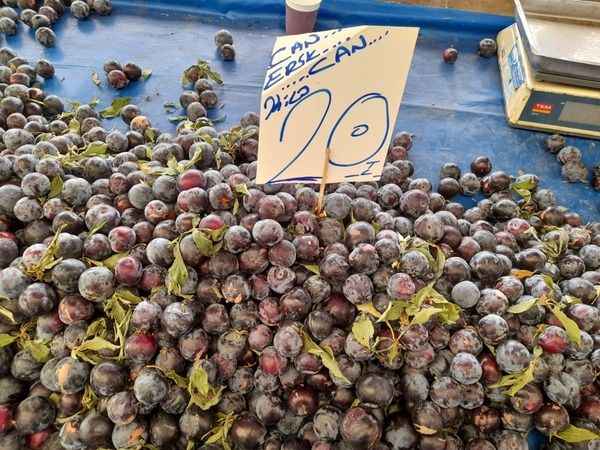 <p><strong>ÇANAKKALE SALI PAZARI FİYATLARI 08 AĞUSTOS 2023</strong></p>
<p><strong></strong></p>
<p><strong></strong>CAN ERİK</p>
<p>KİLOSU 20 TL</p>
<p><strong></strong></p>
<p><strong></strong></p>
<p><strong>DEVAMI DİĞER SAYFAMIZDA;</strong></p>