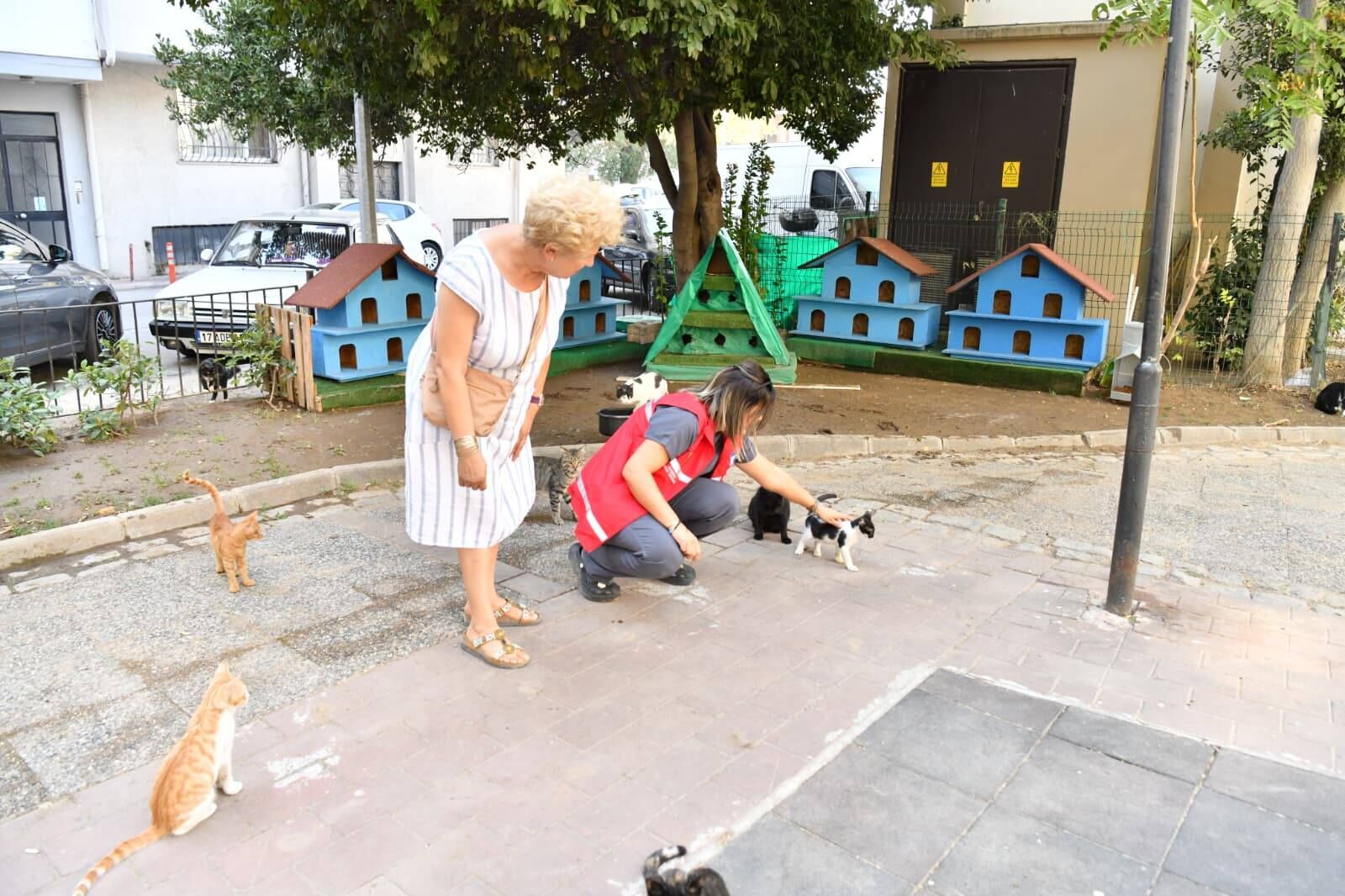 Halkbahçesi Kedi Evi