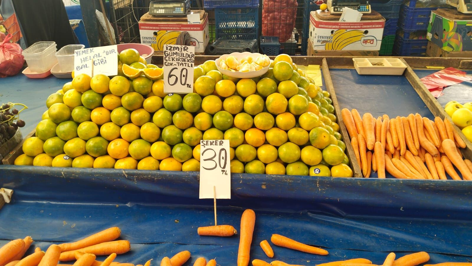 Mandalina
