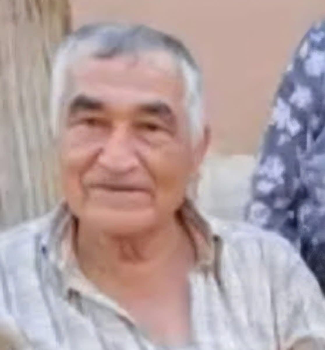 Mehmet Toy