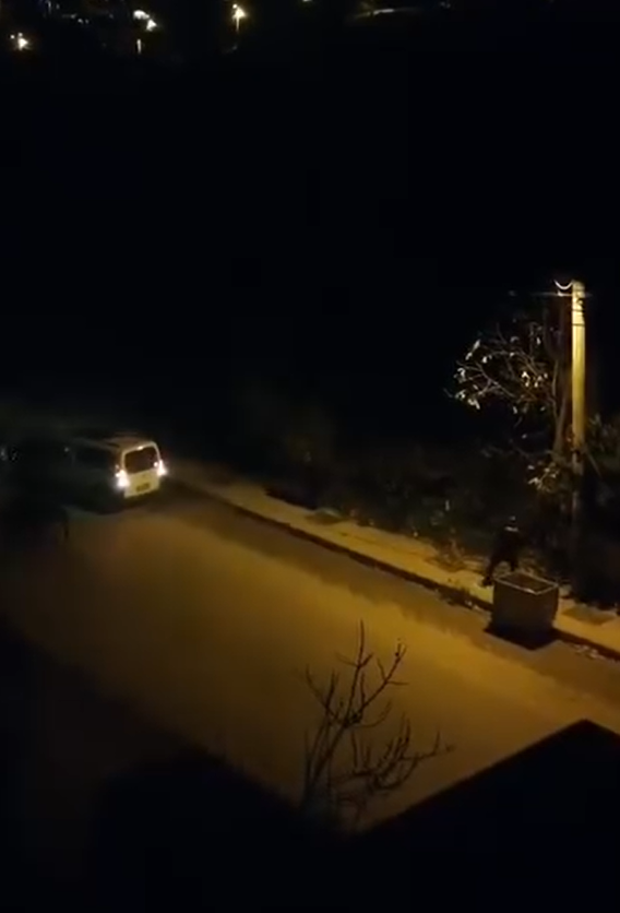 Yalova'da Deaş Operasyonu (2)