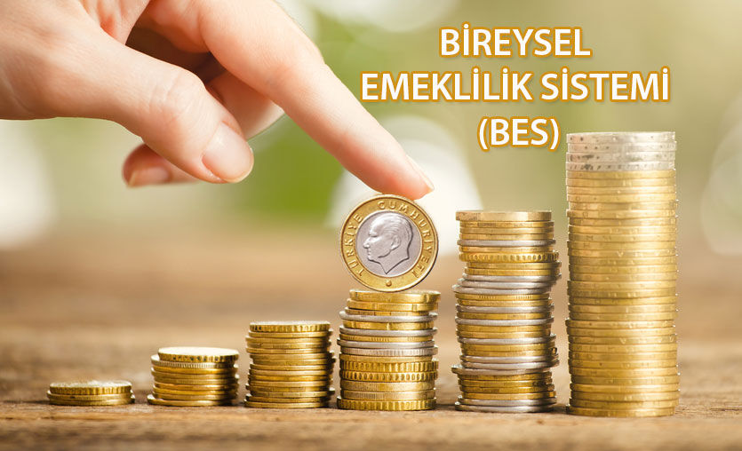 Bes Devlet Katkısı1