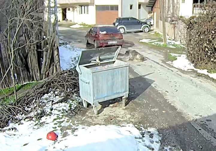 Bolu'da Insanlık Dışı Olay Ezilen Köpeğin Vücudunda 400 Saçma Belirlendi (3)