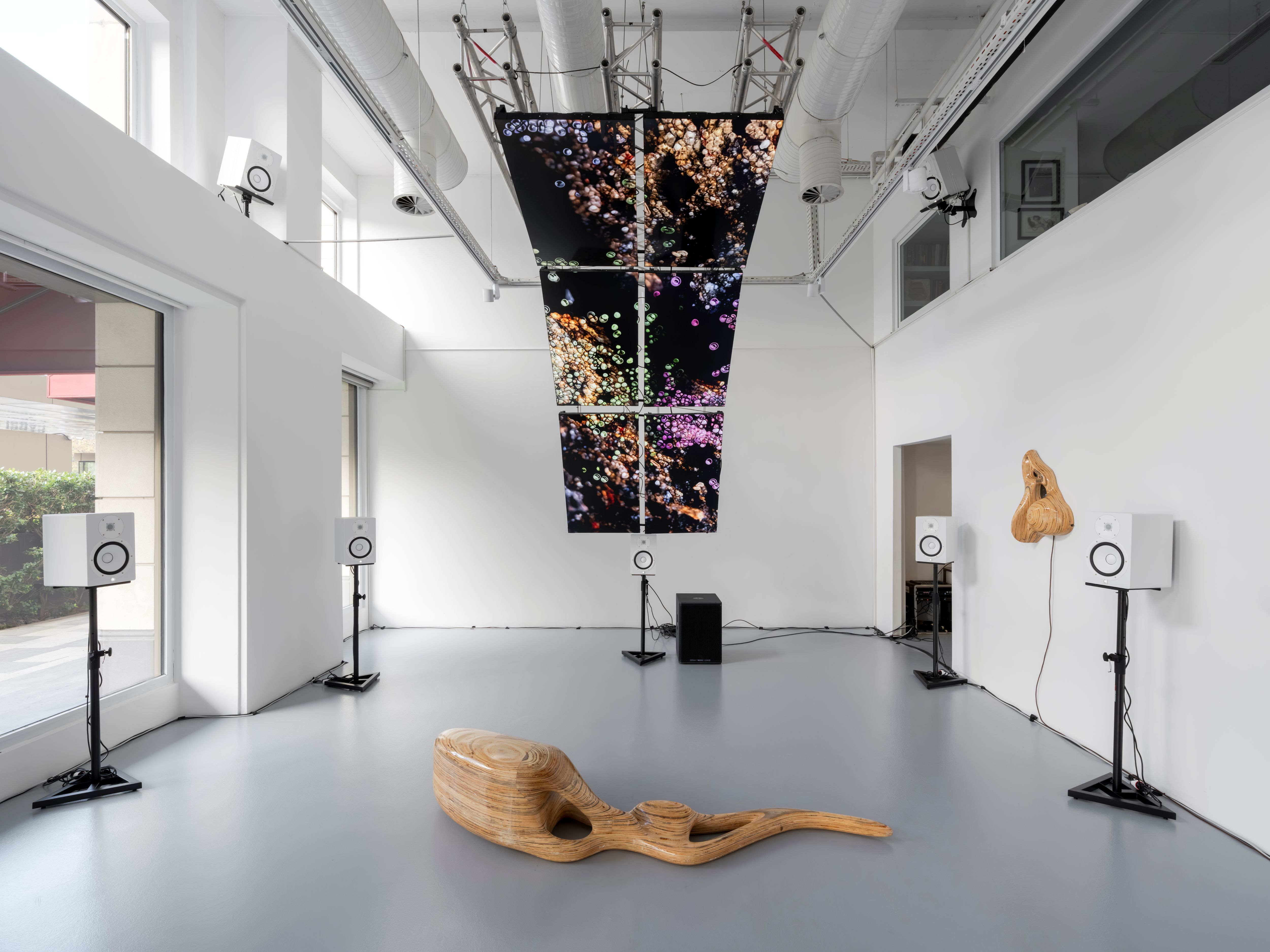 Ecem Dilan Köse, 2025. Id.exethe Human Patch , Installation