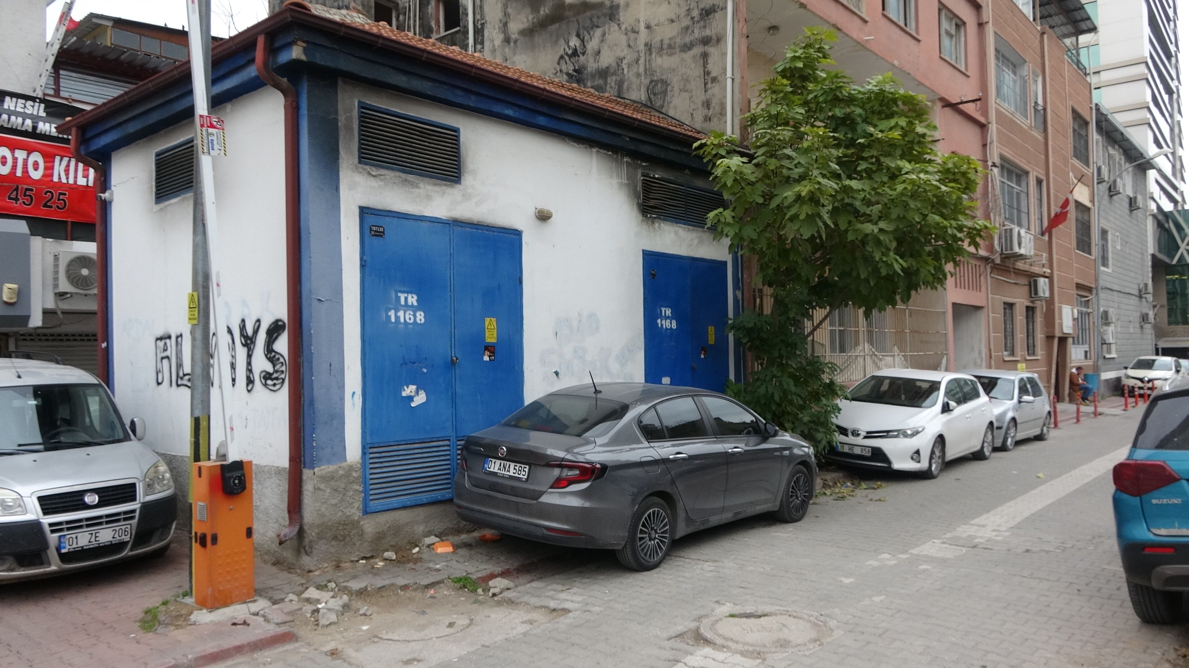 Enes Doğan (2)
