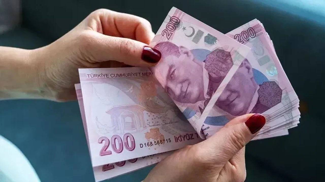 Vatandaşlık Maaşı1