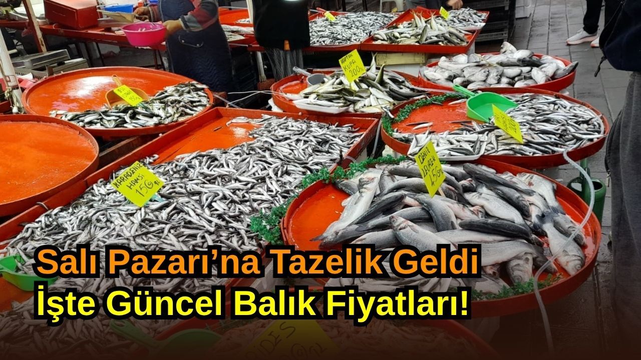 Salı Pazarı’na Tazelik Geldi: İşte Güncel Balık Fiyatları!