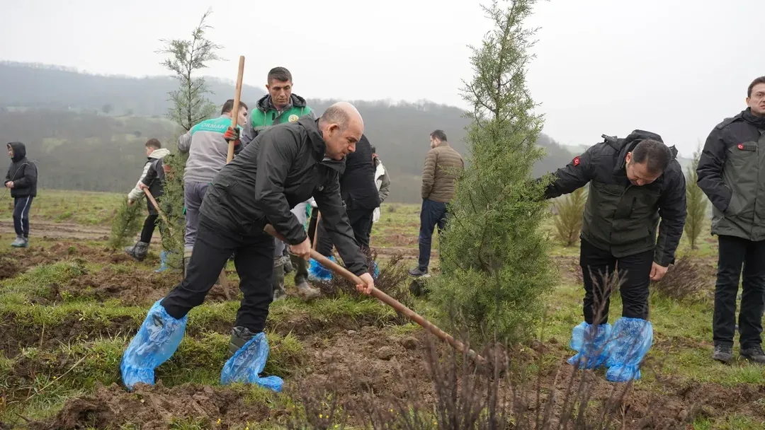 Canda Doga Icin Harekete Gecildi Fidanlar Toprakla Bulustu 4