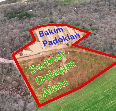 Dogal Yasam Alanı