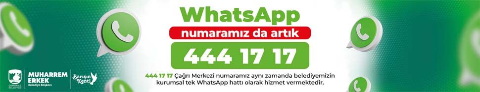 Whatsapp-1