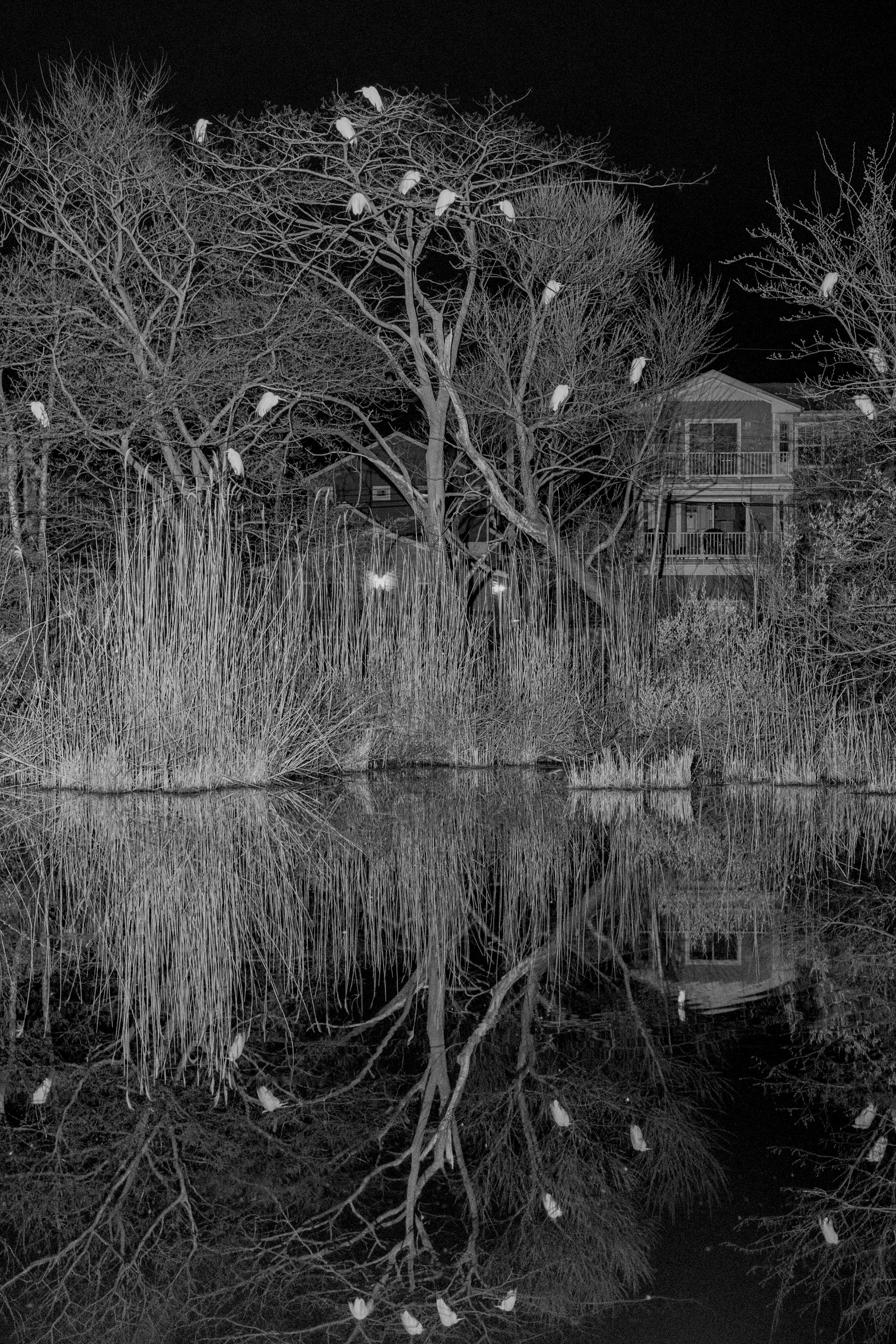 Devin Oktar Yalkin, Liminal Reflections, Pigment Ink Print, 53,20 Cm X 35,47 Cm, 6+2 Ap Edition
