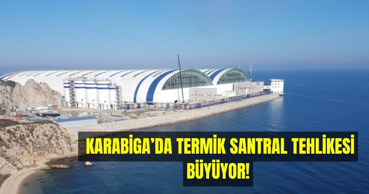 Cuma Pazarı’nda bu hafta fiyatlar ne durumda?