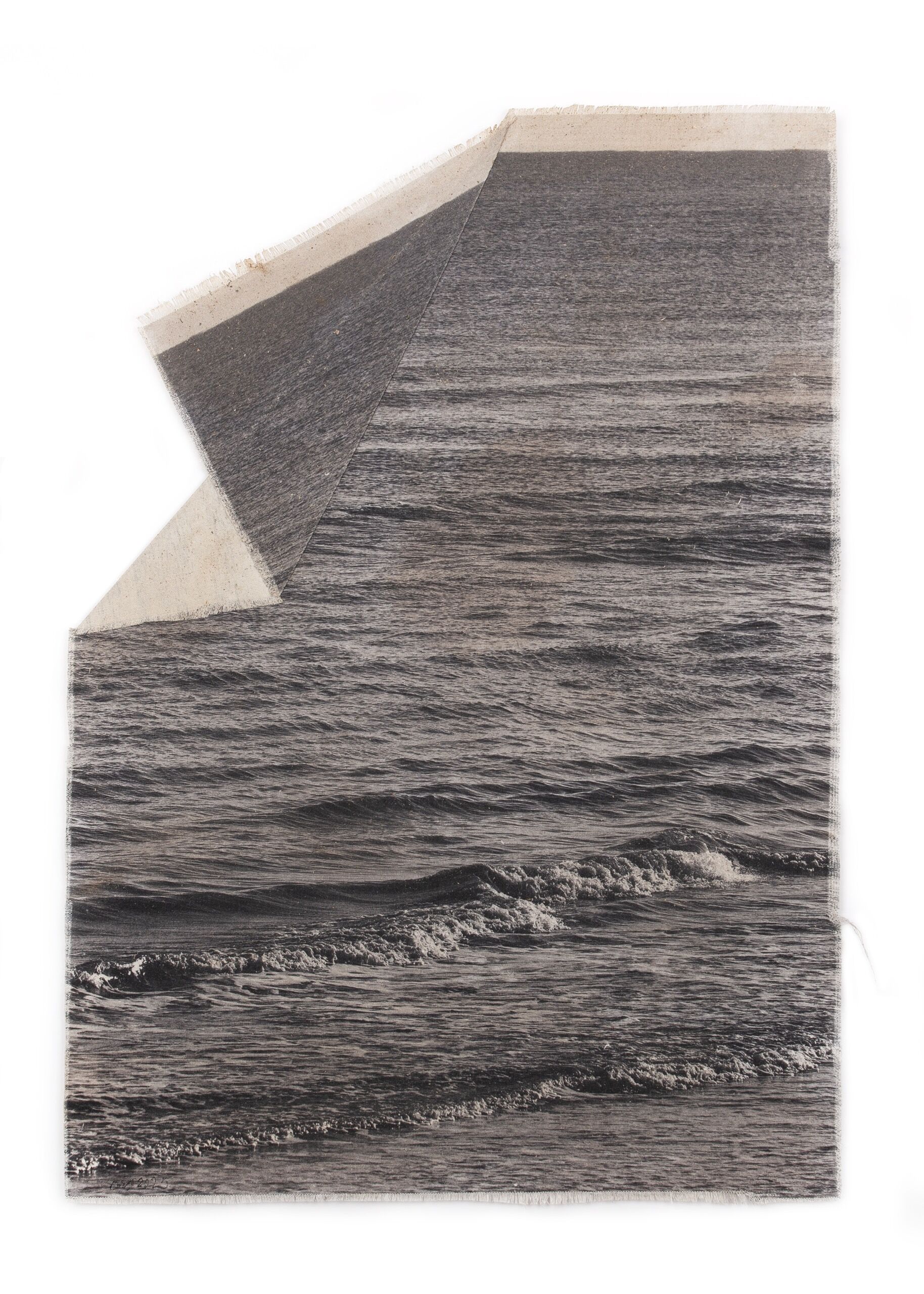 03. Omid Mehdizadeh, Untitled , Digital Photography, Inkjet Print On Calico Cloth, Serish (Eremurus Based Glue), Liquid Glue, Chamomile, Lesser Dodder, Tea And Coffee, 73X53 Cm, Variab