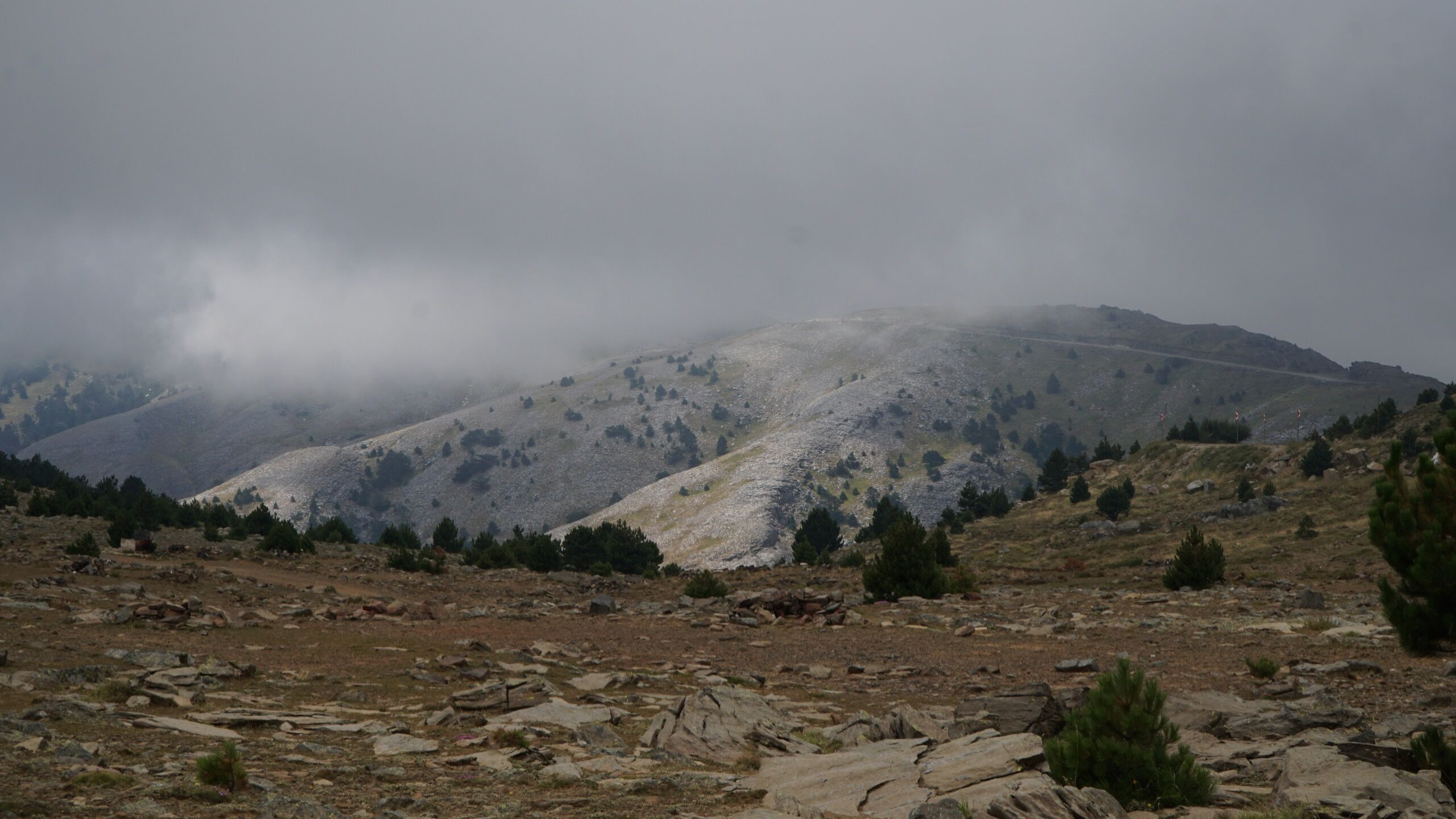 B R N02981