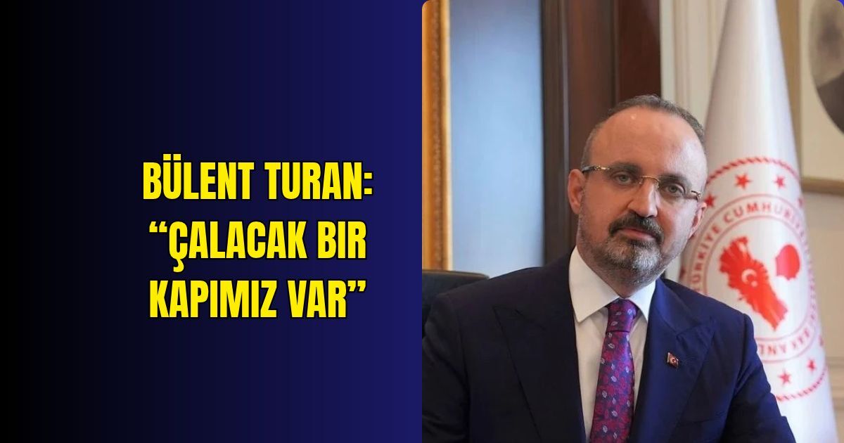 Siyaset