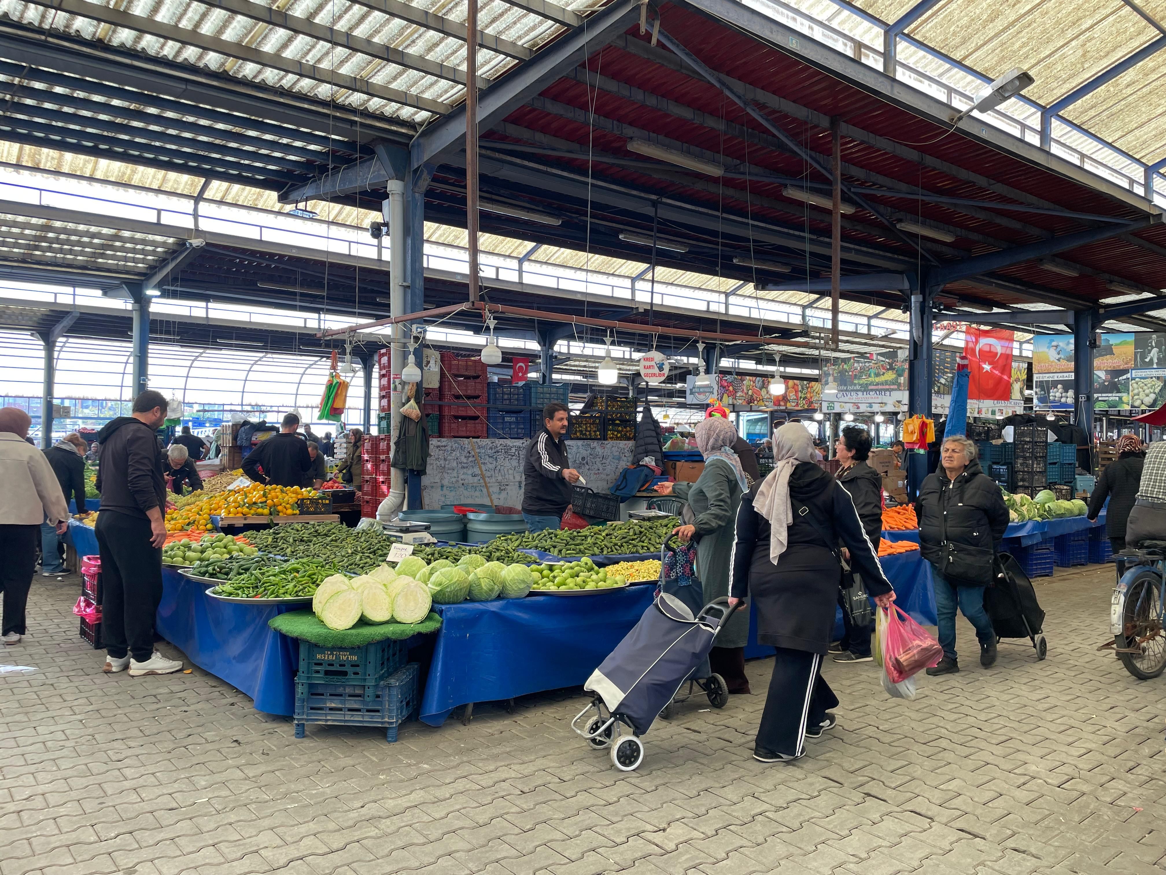 Cuma Pazarı’nda palamut bolluğu, turşuluk telaşı