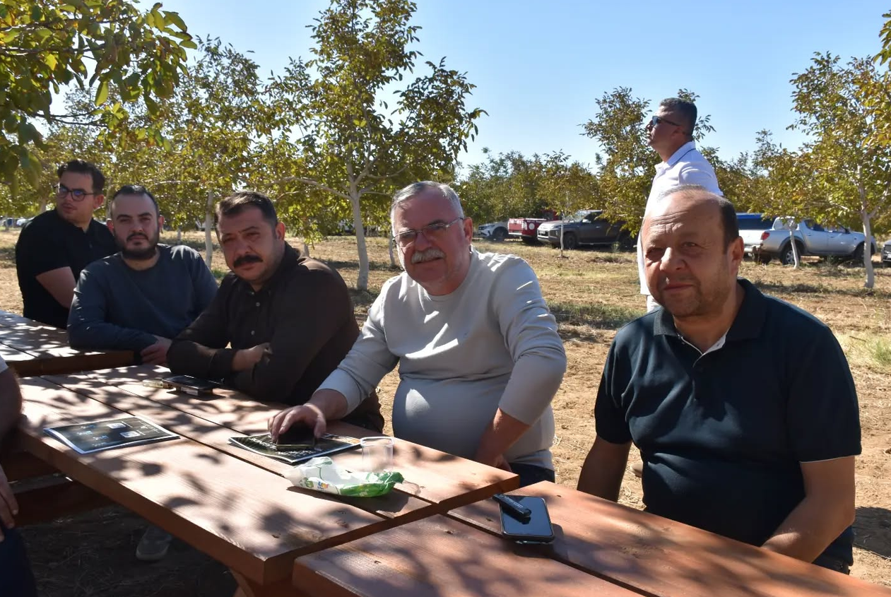 Yeni Parti Ezine Zeytin Hasadı